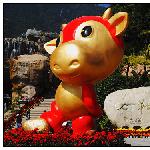 Shenzhen _luner Yr.图片 自然风光 风景图片