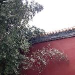北京的雪图片 自然风光 风景图片