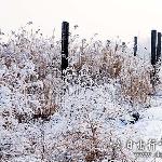 乌鲁木齐郊外的冰雪图片 自然风光 风景图片