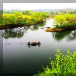 画意徽州●婺源(二)图片 自然风光 风景图片