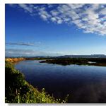 湿地--若尔盖图片 自然风光 风景图片