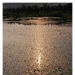 美丽的蠡湖图片 自然风光 风景图片