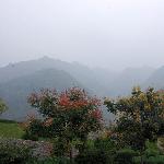 净业寺图片 自然风光 风景图片