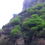 山青水绿进行时…………图片 自然风光 风景图片