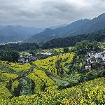 去年的婺源图片 自然风光 风景图片