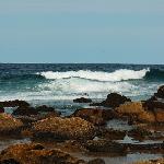 whale beach 鲸鱼海滩图片 自然风光 风景图片