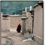 拉不楞寺 II------求知图片 自然风光 风景图片