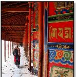 拉不楞寺 I------虔诚图片 自然风光 风景图片