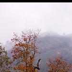 烟雨皖南图片 自然风光 风景图片