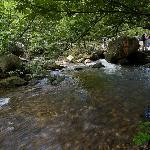 纯溪——旅游景区图片 自然风光 风景图片