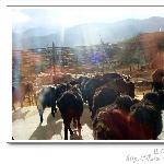 沿途（二）图片 自然风光 风景图片