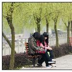 二月春风似剪刀图片 自然风光 风景图片