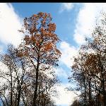 Great Smoky Mountain National Park III图片 自然风光 风景图片