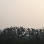茅家埠夕照图片 自然风光 风景图片