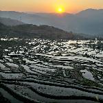 元阳梯田－－－龙树坝图片 自然风光 风景图片