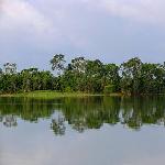 美丽的鹤湖图片 自然风光 风景图片
