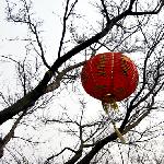 上海松江游图片 自然风光 风景图片