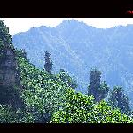 张家界的山色图片 自然风光 风景图片