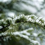 杭州残雪图片 自然风光 风景图片