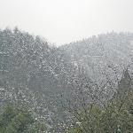 南方之雪图片 自然风光 风景图片