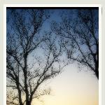 夕阳亭林园图片 自然风光 风景图片