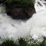 &#;南美之旅专辑之四-阿根廷伊瓜树瀑布图片 自然风光 风景图片