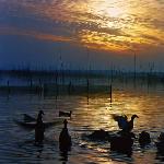 一半秋水带夕阳图片 自然风光 风景图片