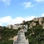 洋山深水港图片 自然风光 风景图片