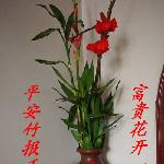 牛年快乐 ^_^图片 自然风光 风景图片