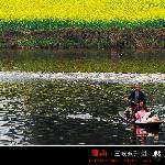 感悟春天——潼南印象图片 自然风光 风景图片