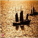 太湖帆影图片 自然风光 风景图片