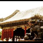颐和园之一图片 自然风光 风景图片