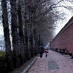 北京早春图片 自然风光 风景图片
