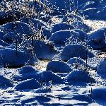 冰雪塞罕坝——小河头图片 自然风光 风景图片