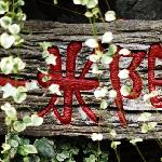 我爱丽江图片 自然风光 风景图片