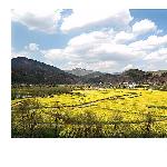 菜鸟拍图片 自然风光 风景图片