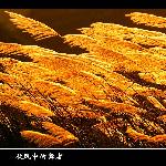 风中的舞者图片 自然风光 风景图片