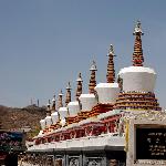 青藏-----塔尔寺图片 自然风光 风景图片