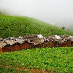 云雾中的牦牛坪图片 自然风光 风景图片