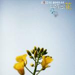 牛犊赏花图片 自然风光 风景图片