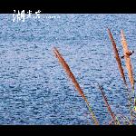 湖光岩夕照【】图片 自然风光 风景图片