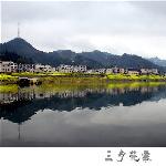 ◆ 三月花事 之 油菜花图片 自然风光 风景图片