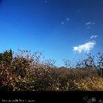【永远的香巴拉--行摄香山--】图片 自然风光 风景图片