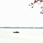 阴天，木棉树下图片 自然风光 风景图片