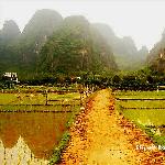 乡间阳朔图片 自然风光 风景图片