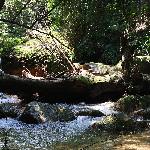 王子山森林公园图片 自然风光 风景图片