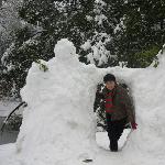 回忆雪景图片 自然风光 风景图片