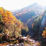 光雾山（一）图片 自然风光 风景图片