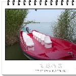 宁夏.沙湖景区图片 自然风光 风景图片