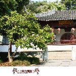 大观园（二）图片 自然风光 风景图片